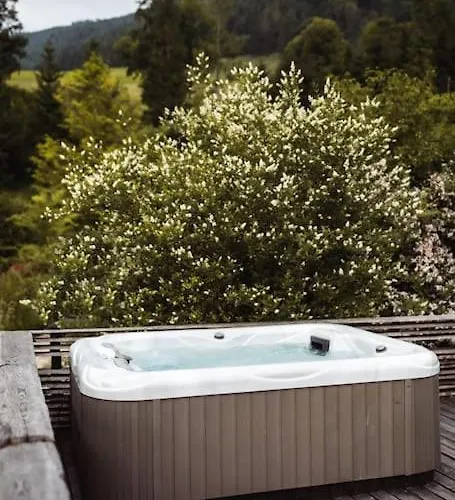 Апартаменты Altholz-suite - Nationalpark Kalkalpen Рамзау